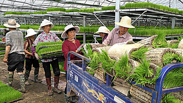 《金剛川》票房突破，激蕩戰爭情懷與熱血！