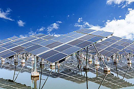 上海住家司機工資多少錢？如何為您的家庭找到合適的司機