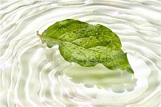 青島半天家政工資多少錢？揭秘青島家政行業的薪資現狀！