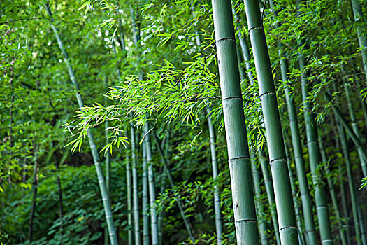 一點(diǎn)就到家制作成本多少？揭秘背后的商業(yè)秘密