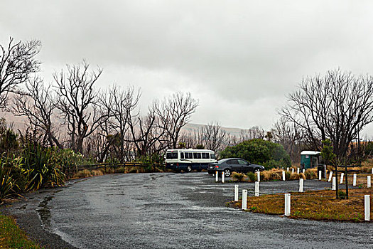 北京住家保姆多少錢？揭秘雇傭住家保姆的費用與選擇技巧