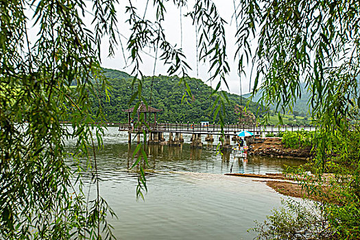 **《唐人街探案3》票房破紀錄，多少億才能回本？