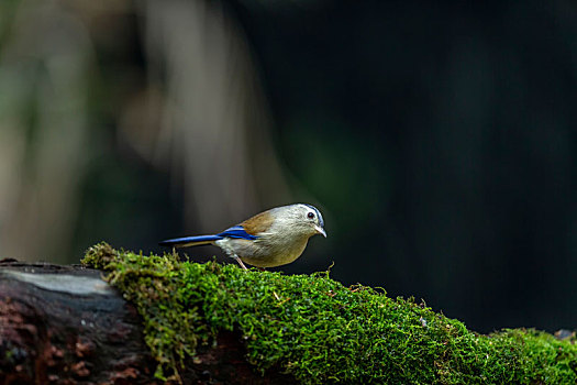 黃島開(kāi)發(fā)區(qū)保姆多少錢(qián)？揭秘黃島開(kāi)發(fā)區(qū)保姆費(fèi)用的真實(shí)情況