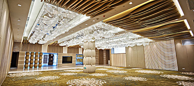 金漸層藍金貓崽兒多少錢？揭秘市場價格與養貓心得！
