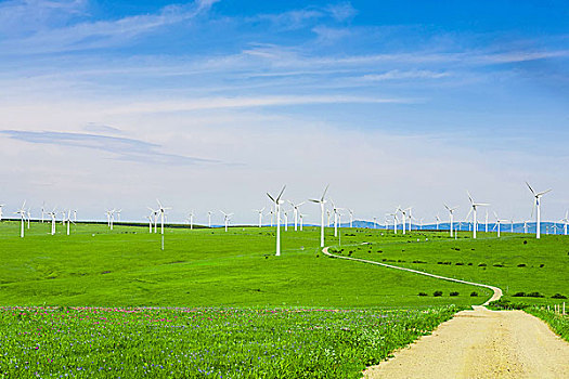 6門冰箱清洗多少錢？讓你了解價格和服務，確保家電長久使用