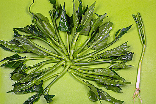 武漢菲傭價格是多少？選擇菲傭服務的最佳指南