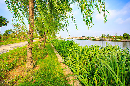 在日本做月嫂需要多少錢？揭秘日本月嫂行業薪資與就業前景
