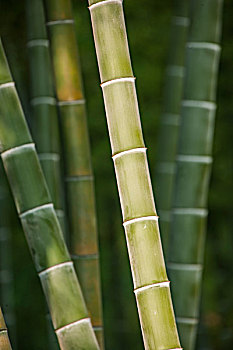 綿陽(yáng)找保姆做飯多少錢？讓您輕松享受家政服務(wù)的秘訣