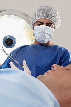 緬因貓4個月能長多少斤？揭秘這一階段的成長秘密