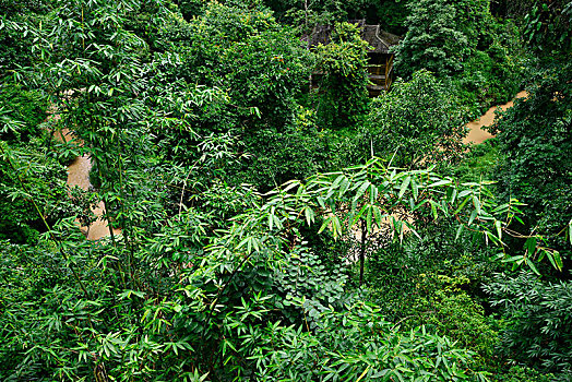 青島住家陪護多少錢？讓我們幫您找到最合適的選擇！