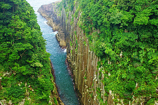 雙胞胎月嫂服務，讓您輕松應對育兒挑戰
