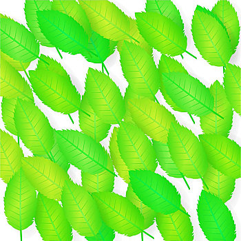 月嫂公司注冊(cè)費(fèi)用多少？開啟你的創(chuàng)業(yè)之路
