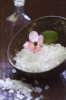 招保姆一個(gè)月多少錢？了解市場(chǎng)價(jià)格，找到性價(jià)比最優(yōu)的選擇！