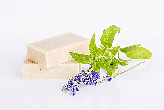 新疆保姆一個(gè)月多少錢？揭秘新疆家政行業(yè)的收入與市場(chǎng)現(xiàn)狀