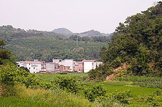 玖池云拍：帶你走進創新的拍賣新天地