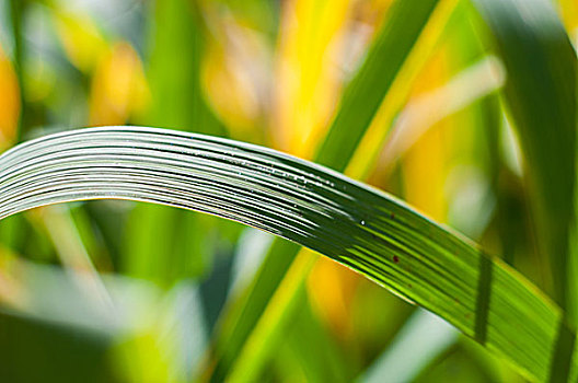 廣西月嫂多少錢一個(gè)月？月嫂服務(wù)價(jià)格揭秘，帶你了解全面市場行情！