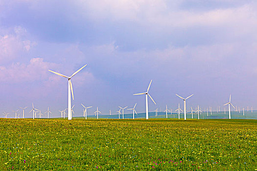 除暴電影投資多少？揭秘背后的巨額資金與商業潛力