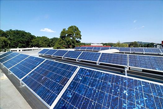 龍華家政保潔電話多少錢？為您提供高效便捷的清潔服務(wù)