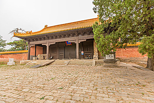 找護士工多少錢一天？如何選擇最合適的護理服務