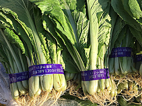 上海崇明鐘點工多少錢？為您揭秘崇明鐘點工市場的最新行情