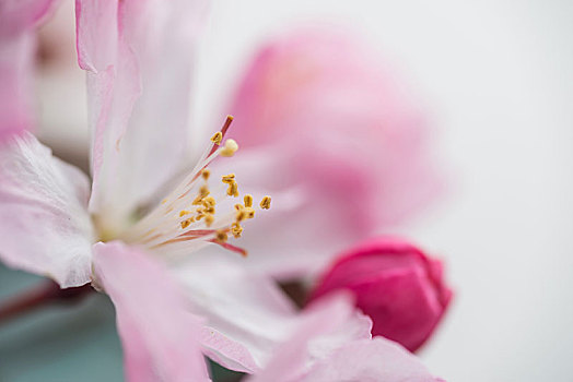 上海請(qǐng)一個(gè)月嫂多少錢？這篇文章讓你了解價(jià)格與選擇的秘訣！