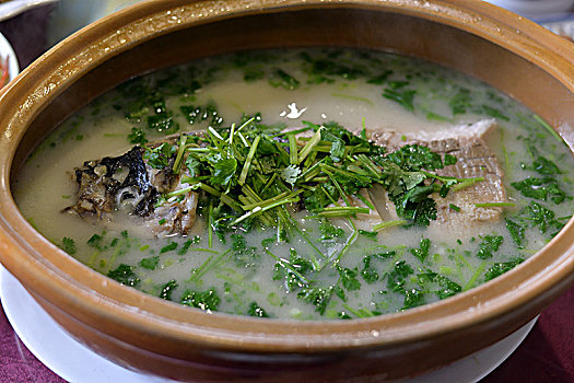 修魚缸多少錢？給您的魚兒一個美麗家園，價格與服務全解析