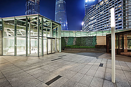 黑金英短多少錢？揭秘黑金英短的魅力與市場價格