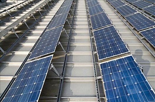 朝陽市家政服務電話多少？專業家政服務讓生活更便捷