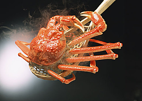 揚(yáng)州保姆工資解析：選擇高薪工作，輕松賺錢(qián)的絕佳機(jī)會(huì)