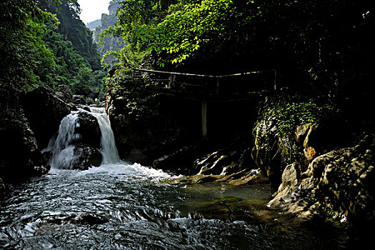 沈陽(yáng)有多少家月嫂公司？探索沈陽(yáng)月嫂行業(yè)的繁榮與前景