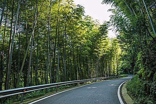 青島住家陪護多少錢？讓我們幫您找到最合適的選擇！