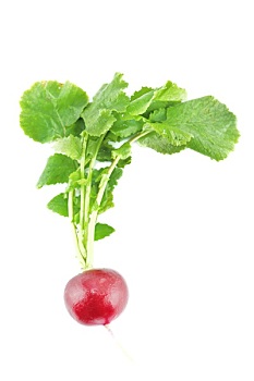 重慶做飯鐘點(diǎn)工多少錢(qián)？揭秘重慶家庭做飯鐘點(diǎn)工市場(chǎng)的真實(shí)價(jià)格