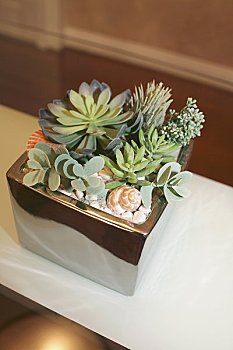 洛陽2星月嫂工資多少？揭秘洛陽月嫂市場的薪資行情