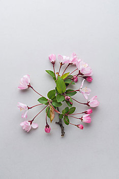 沈陽(yáng)育兒嫂多少錢(qián)？如何選擇性價(jià)比高的育兒嫂