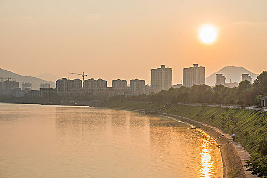 黑煙緬因貓多少錢？讓你了解它的價格與市場動態