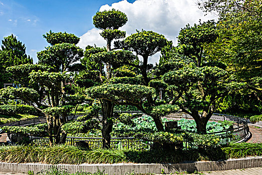 開一家家政需要多少錢？揭秘投資成本與創業前景