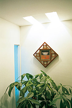 住家鐘點工多少錢？為您揭秘合理費用及雇傭秘訣