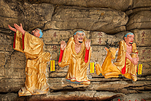 上海有多少月嫂公司？月嫂行業(yè)的快速發(fā)展與未來趨勢