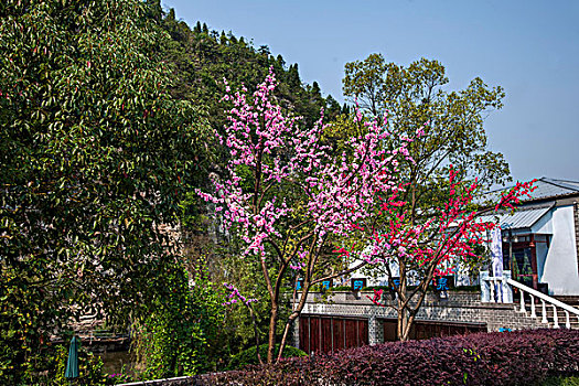 江夏月嫂一個月多少錢？專業服務幫您迎接新生兒的到來