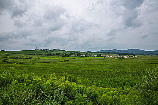半天保姆多少錢黃島？選擇保姆服務(wù)，讓您的生活更加輕松