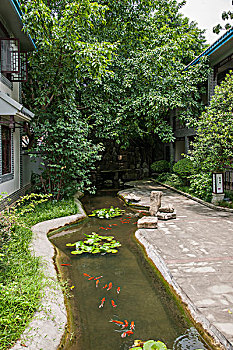 天津住家育兒嫂工資多少？揭秘天津住家育兒嫂薪資現狀與行業前景