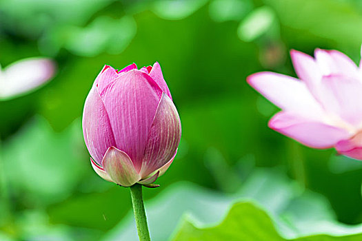 個(gè)人家政保姆月嫂多少錢？帶你了解價(jià)格背后的價(jià)值