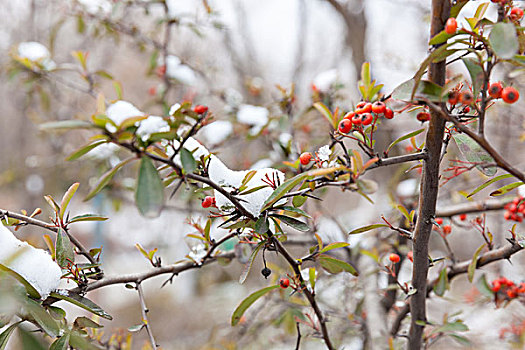 沈陽(yáng)住家保姆多少錢(qián)？讓我們幫您解答