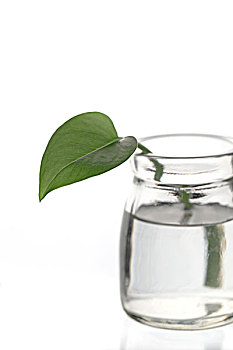 你好李煥英：一部溫暖人心的電影，帶給我們多少思考與感動？