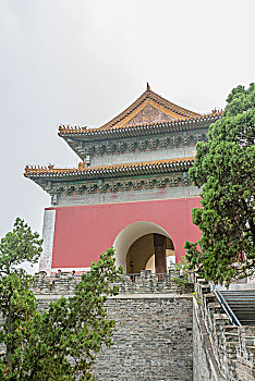 現在保姆多少錢？探秘現代家庭服務市場的價格趨勢