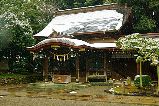 濟(jì)南種點(diǎn)工多少錢(qián)一臺(tái)？揭秘高效農(nóng)業(yè)設(shè)備的價(jià)格與投資回報(bào)