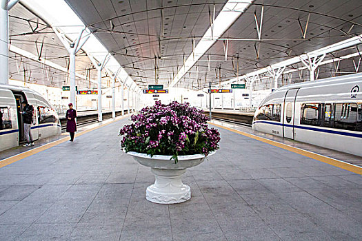 深圳當保姆一個月多少錢？揭秘深圳保姆市場的真實價格與行業內幕