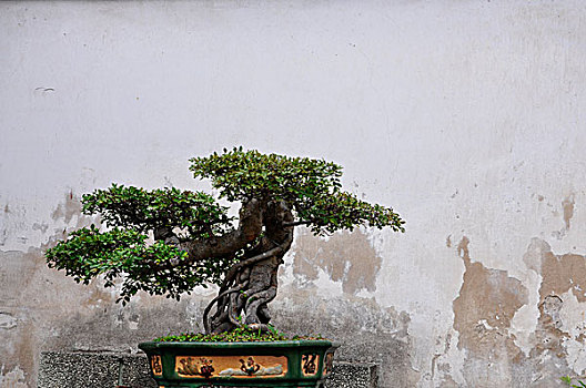 聊城保姆工資多少？揭開家政行業薪資的真實面紗
