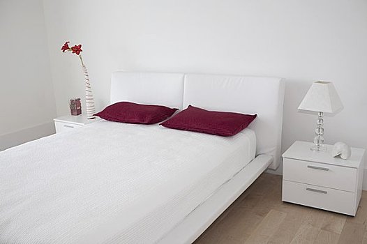 家政服務價格揭秘，如何選擇最適合您的服務？