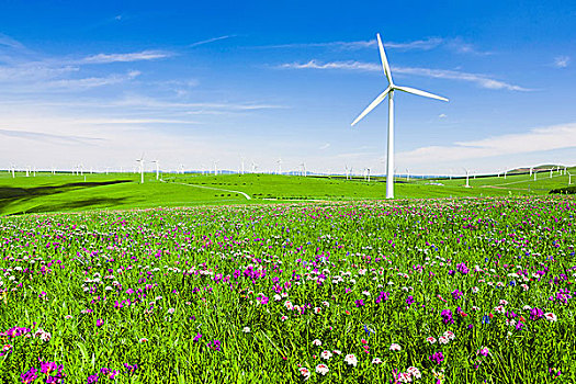 浦東家政協會電話多少？一站式解決您的家政需求